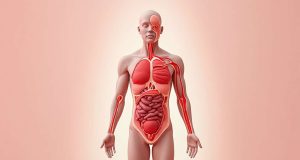 ¿Cuánto sangre, saliva y esperma contiene nuestro cuerpo ? ¿Cuánto sangre, saliva y esperma contiene nuestro cuerpo ?
