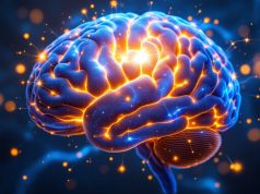 15 señales poco conocidas que revelan una inteligencia excepcional 15 señales poco conocidas que revelan una inteligencia excepcional